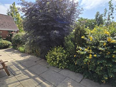 Picture 20